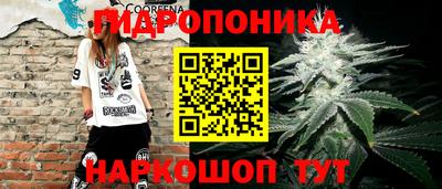 apvp Бийск