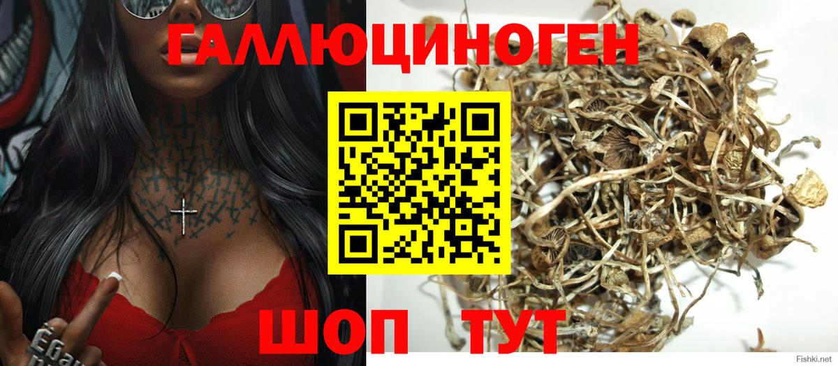 Галлюциногенные грибы Cubensis Ревда